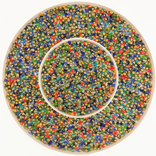 [S038]   The Chameleon🌈✨-High Quality Seed Beads