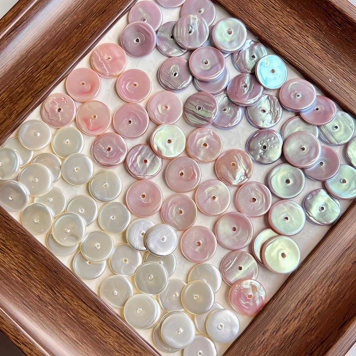 [A837]    Flat Shell Bead（10/12MM）