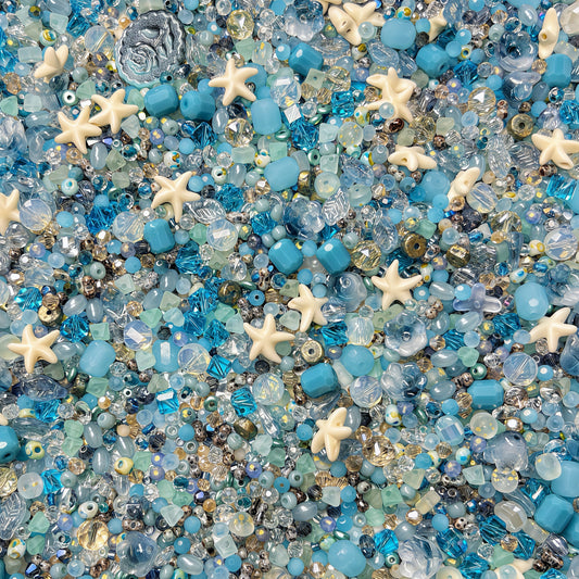 🆕[S240]   Starfish Shore🌈✨-High Quality Seed Beads