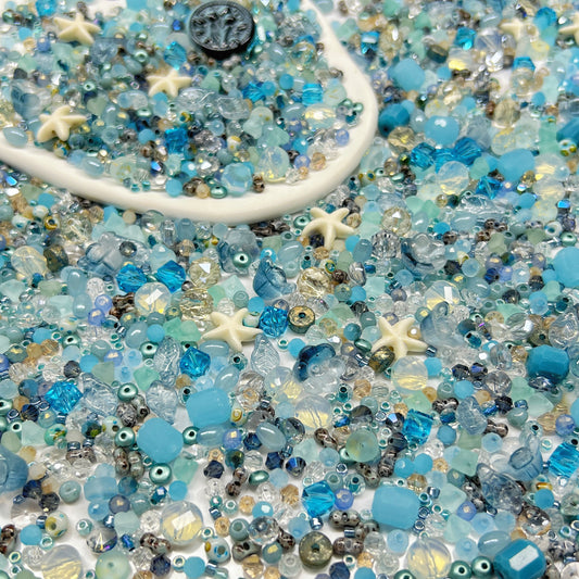 🆕[S240]   Starfish Shore🌈✨-High Quality Seed Beads